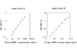 ELISA image for WNT1 Inducible Signaling Pathway Protein 1 (WISP1) ELISA Kit (ABIN1979347) (WISP1 ELISA 试剂盒)