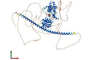 Protein Structure (PS) image for rho GTPase Activating Protein 24 (ARHGAP24) (AA 1-747) protein (His tag) (ABIN7564514)