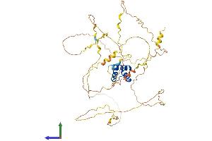 Protein Structure (PS) image for Iroquois Homeobox 3 (IRX3) (AA 1-501) protein (His tag) (ABIN7548572)