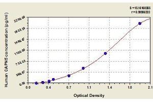 Typical standard curve (Calpain 5 ELISA 试剂盒)