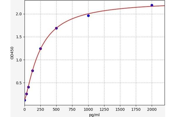 TNNI1 ELISA 试剂盒