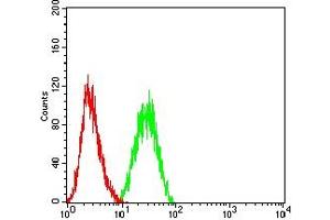 Flow cytometric analysis of THP-1 cells using CD34 mouse mAb (green) and negative control (red). (CD34 抗体  (AA 32-290))