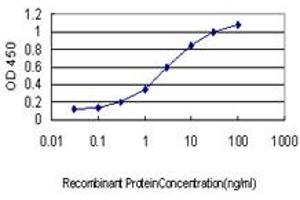 Detection limit for recombinant GST tagged RANBP5 is approximately 0. (Importin 5 抗体  (AA 1-100))