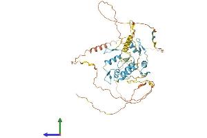 Protein Structure (PS) image for MYC-Associated Zinc Finger Protein (Purine-Binding Transcription Factor) (MAZ) (AA 1-477) protein (His tag) (ABIN7556491)