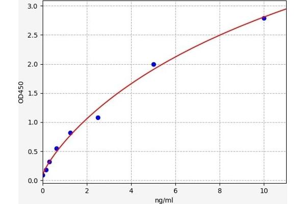 PCK1 ELISA 试剂盒