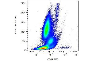Surface staining of CD34+ cells in human peripheral blood with anti-CD34 (581) FITC. (CD34 抗体  (FITC))