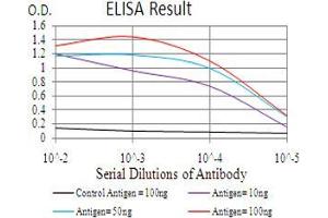 Black line: Control Antigen (100 ng), Purple line: Antigen(10 ng), Blue line: Antigen (50 ng), Red line: Antigen (100 ng), (BMP2 抗体  (AA 283-396))