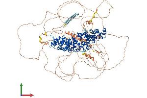 Protein Structure (PS) image for Catenin (Cadherin-Associated Protein), delta 2 (Neural Plakophilin-Related Arm-Repeat Protein (CTNND2) (AA 1-1225) protein (His tag) (ABIN7553603)