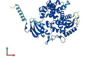 Protein Structure (PS) image for Cytochrome P450, Family 7, Subfamily A, Polypeptide 1 (CYP7A1) (AA 1-504) protein (His tag) (ABIN7546829)