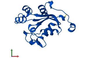 Protein Structure (PS) image for Nucleoside diphosphate kinase B (NME2) (AA 1-152) protein (His tag) (ABIN7549734)