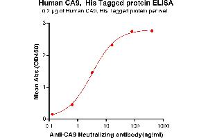 ELISA image for Carbonic Anhydrase IX (CA9) (AA 38-414) protein (His tag) (ABIN6964087)