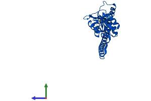 Protein Structure (PS) image for Ribosomal Protein L7 (RPL7) (AA 1-248) protein (His tag) (ABIN7551464)