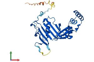 Protein Structure (PS) image for Pyridoxamine 5'-Phosphate Oxidase (PNPO) (AA 1-261) protein (His tag) (ABIN7560091)