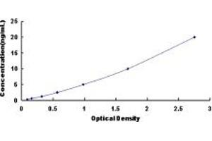 Typical standard curve (LPCAT2 ELISA 试剂盒)