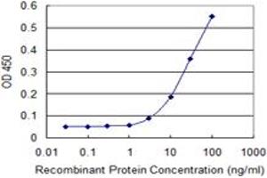 Detection limit for recombinant GST tagged RPLP0 is 1 ng/ml as a capture antibody. (RPLP0 抗体  (AA 1-317))