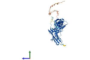 Protein Structure (PS) image for Myosin Binding Protein H (MYBPH) (AA 1-477) protein (His tag) (ABIN7549583)