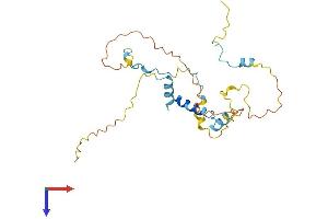 Myozenin 3 Protein (MYOZ3) (AA 1-251) (His tag)