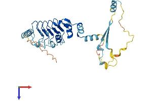 AlphaFold protein structure predicition of Human Recombinant LRRC72 Protein, UniprotID A6NJI9