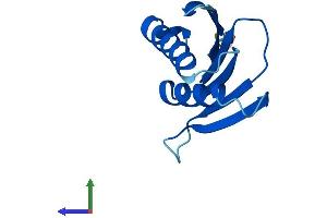 Protein Structure (PS) image for Proteasome (Prosome, Macropain) Assembly Chaperone 4 (PSMG4) (AA 1-123) protein (His tag) (ABIN7562803)