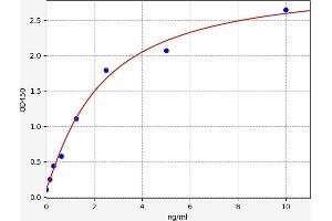 SLC27A4 ELISA 试剂盒