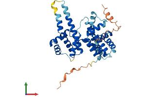 Protein Structure (PS) image for Cyclin N-terminal Domain Containing 1 (CNTD1) (AA 1-334) protein (His tag) (ABIN7561159)