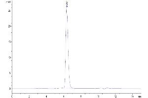 Size-exclusion chromatography-High Pressure Liquid Chromatography (SEC-HPLC) image for Notch 2 (NOTCH2) (AA 26-530) protein (His-Avi Tag,Biotin) (ABIN7275365)