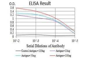 Black line: Control Antigen (100 ng),Purple line: Antigen (10 ng), Blue line: Antigen (50 ng), Red line:Antigen (100 ng) (P2RY14 抗体)