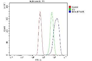 Flow Cytometry analysis of SiHa cells using anti-Inhibin alpha/INHA antibody (ABIN7600932). (Inhibin alpha 抗体  (AA 254-366))