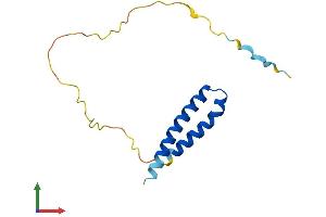 Protein Structure (PS) image for Cyclin-Dependent Kinase 2 Associated Protein 2 (CDK2AP2) (AA 1-127) protein (His tag) (ABIN7560491)