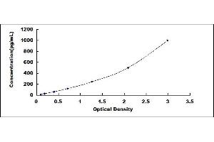 Typical standard curve (LAMC2 ELISA 试剂盒)