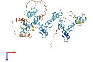 ZNF582 Protein (AA 1-517) (His tag)