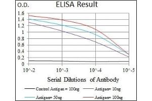 Red: Control Antigen (100 ng), Purple: Antigen (10 ng), Green: Antigen (50 ng), Blue: Antigen (100 ng), (HNRNPU 抗体)