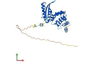 Protein Structure (PS) image for Sorting Nexin 20 (SNX20) (AA 1-316) protein (His tag) (ABIN7546292)