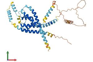 Protein Structure (PS) image for Potassium Channel Subfamily K Member 18 (KCNK18) (AA 1-384) protein (His tag) (ABIN7554286)