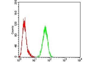 Flow Cytometry (FACS) image for anti-Calreticulin (CALR) (AA 18-417) antibody (ABIN7193510)