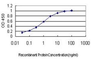 Detection limit for recombinant GST tagged ZWINT is approximately 0. (ZWINT 抗体  (AA 1-277))