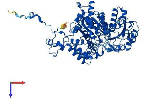 ME1 Protein (AA 1-572) (His tag)