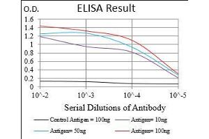 Black line: Control Antigen (100 ng), Purple line: Antigen(10 ng), Blue line: Antigen (50 ng), Red line: Antigen (100 ng), (PIK3 gamma 抗体  (AA 1-100))