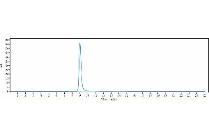 anti-TNFRSF13C (Ianalumab Biosimilar) antibody