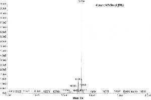 Mass Spectrometry (MS) image for Histone 3 (H3) (H3K9me) protein (ABIN2669569) (Histone 3 Protein (H3) (H3K9me))