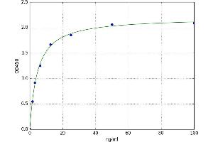 A typical standard curve (S100A11 ELISA 试剂盒)