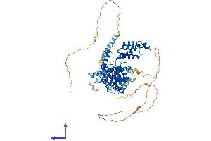 Protein Structure (PS) image for Spastin (SPAST) (AA 1-614) protein (His tag) (ABIN7565160)