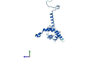 AlphaFold protein structure predicition of Mouse Recombinant Rpl13 Protein, UniprotID P47963 (RPL13 Protein (AA 1-211) (His tag))