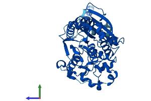 AlphaFold protein structure predicition of Human Recombinant AADAC Protein, UniprotID P22760 (AADAC Protein (AA 1-399) (His tag))