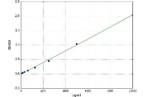 A typical standard curve (CACYBP ELISA 试剂盒)
