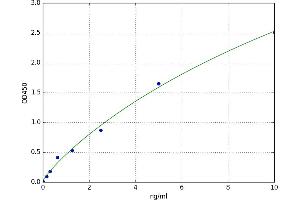 A typical standard curve (Caspase 12 ELISA 试剂盒)