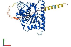 Protein Structure (PS) image for UDP-Gal:betaGlcNAc beta 1,3-Galactosyltransferase, Polypeptide 1 (B3GALT1) (AA 1-326) protein (His tag) (ABIN7552596)