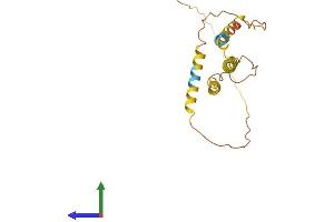 Protein Structure (PS) image for ADP-Ribosylation-Like Factor 6 Interacting Protein 6 (ARL6IP6) (AA 1-226) protein (His tag) (ABIN7558602)
