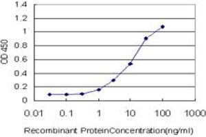 Detection limit for recombinant GST tagged TAOK2 is approximately 1ng/ml as a capture antibody. (TAO Kinase 2 抗体  (AA 831-930))