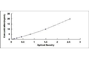 Typical standard curve (CSF1R ELISA 试剂盒)